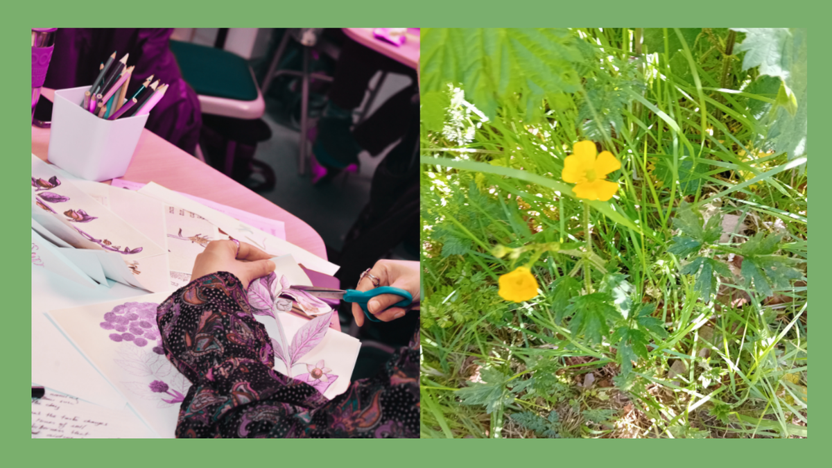 A split image showing a collage with plant imagery and a photo of plants on a green background