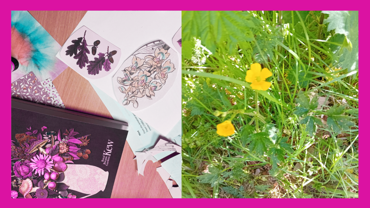 A split image showing a collage with plant imagery and a photo of plants on a pink background