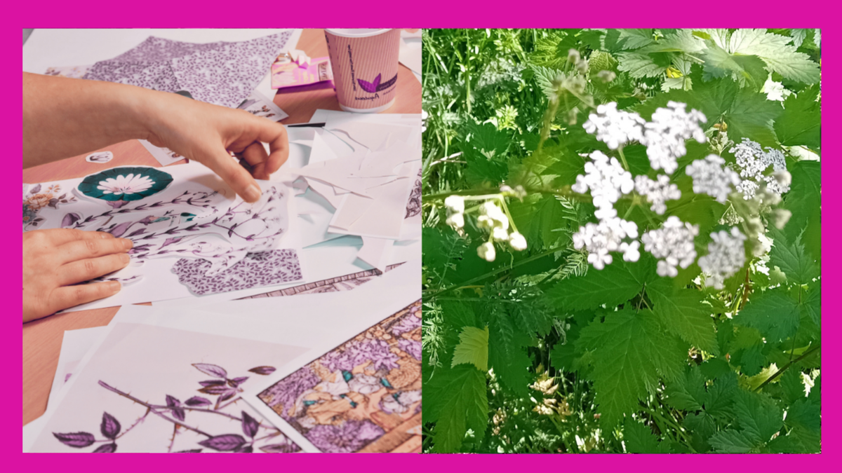 A split image showing a collage with plant imagery and a photo of plants on a pink background