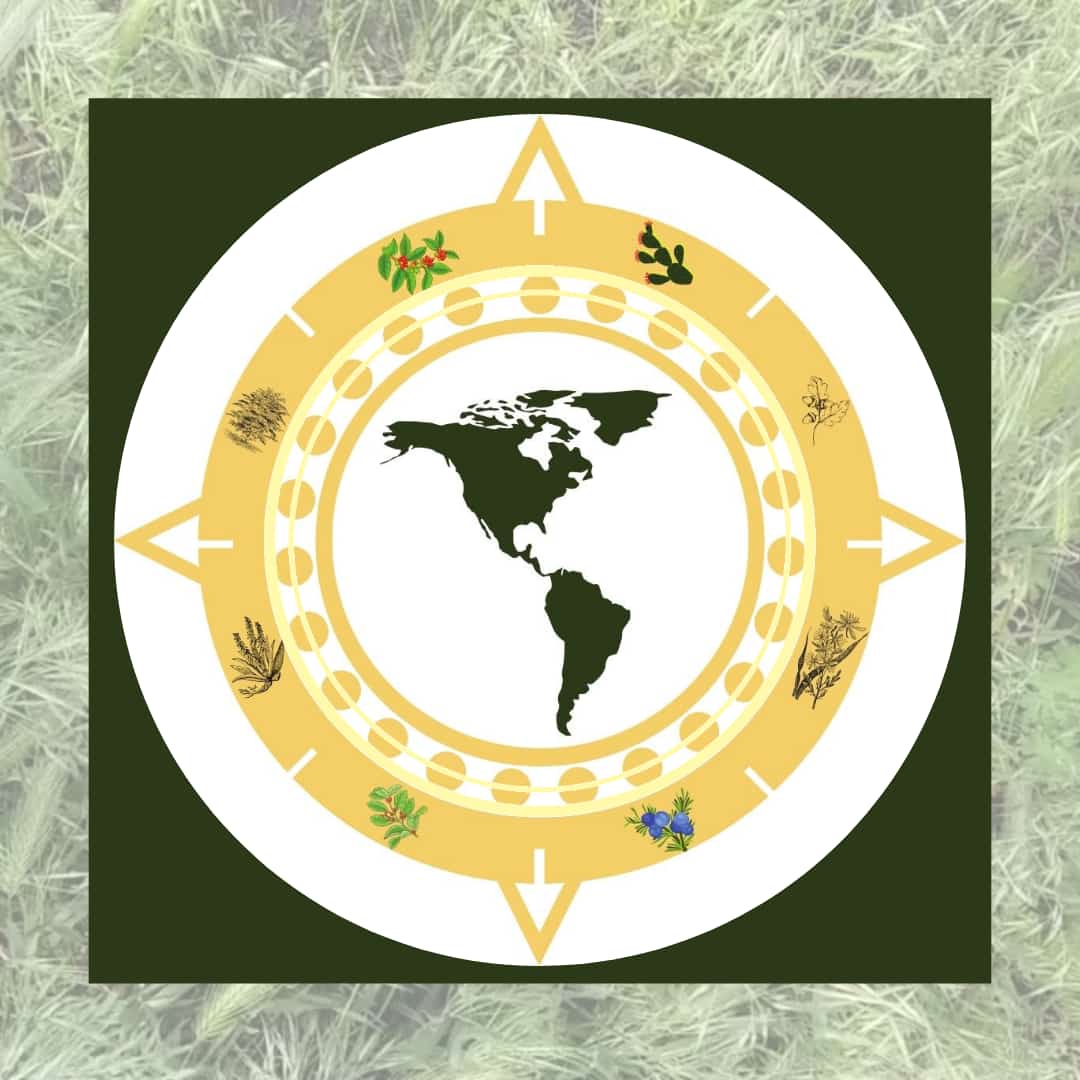 symbol with the world