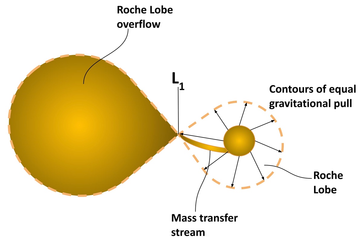 Schematic of a semidetached binary star showing the Roche lobes, the inner Lagrangian point, and the mass transfer stream between the stars. From George et al. (2019) Chaos 29 113112
