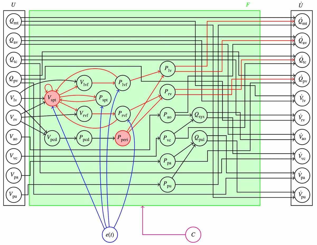 Graph showing the lumped-parameter model of the cardiovascular system form Grigorian et al. (2024) 10.1098/rsif.2023.0710. On the left is the 10-dimensional state vector U. On the right is the derivative of U. Between them are lines indicating the relationships between the variables in U (heart chamber volumes and flow rates) and how they contribute to its derivative.