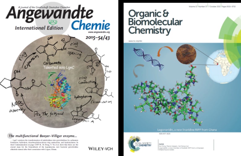 cover page of Angewandte Chemistry (left, showing an enzymtic reaction), cover page of Organic and biomolecular Chemistry (right) showing Legonaridin