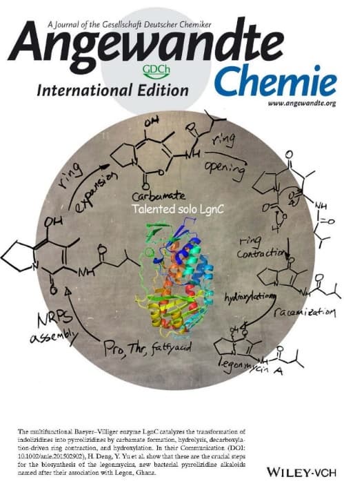 Back cover page of Angew Chemie Int. Ed. 2015, 54(43), 12697-1270