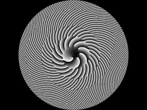 Phase pattern used in a spatial light modulator to change the phase of a laser beam that passes through it. Image: David McGloin.