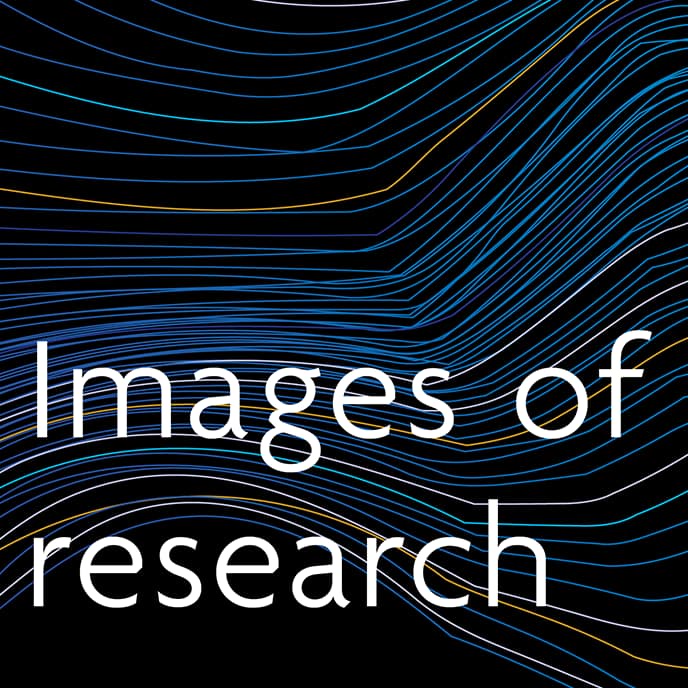 Images of research
