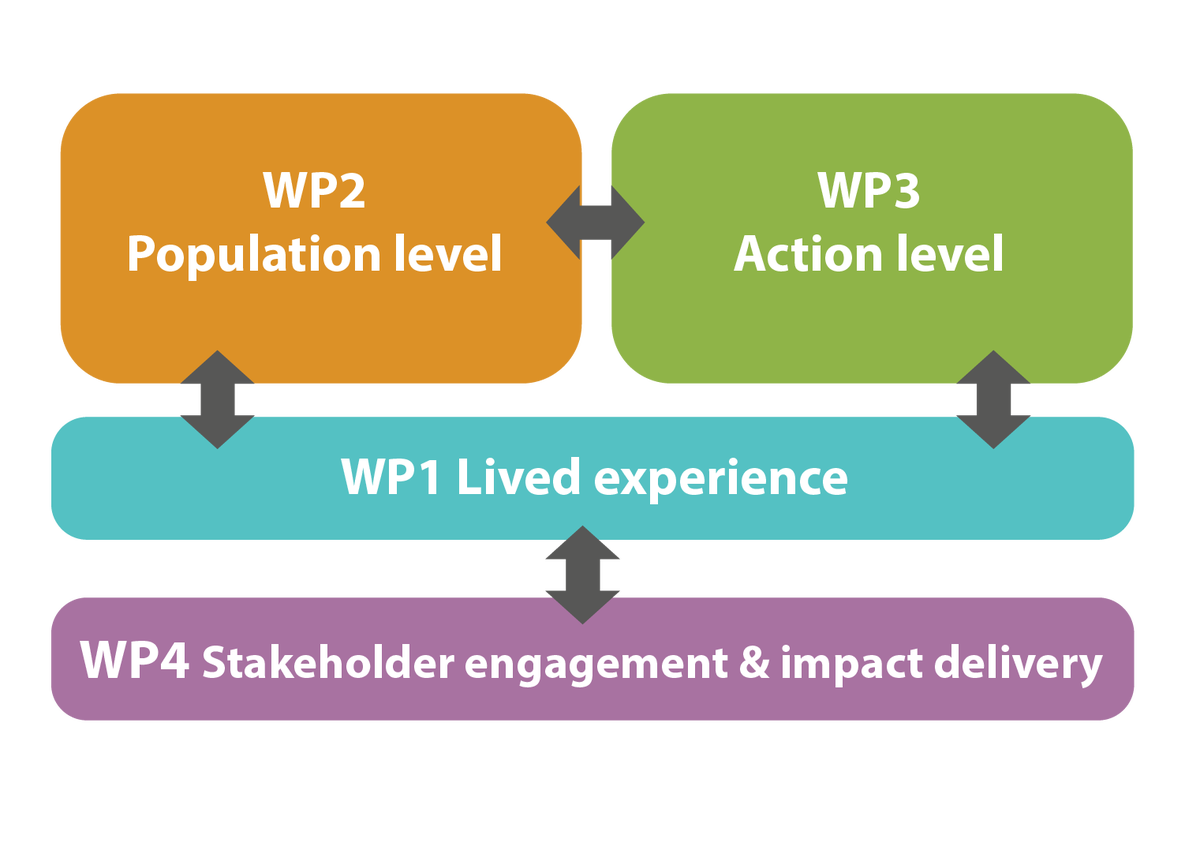 A visual representation of the planned activities of the four work packages