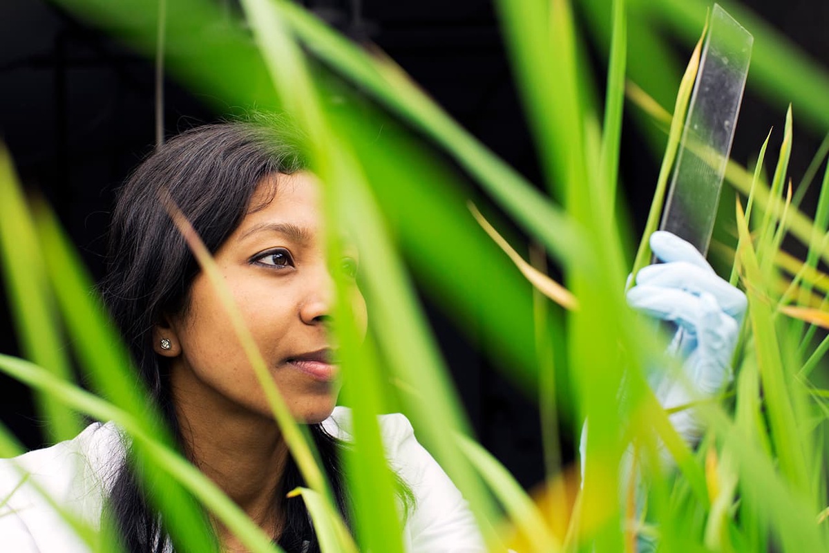 researcher in a greenhouse