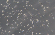 grey background with white smears