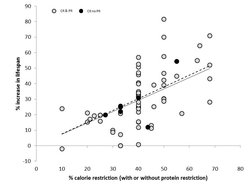 The relationship between level of calorie restriction (CR) and lifespan