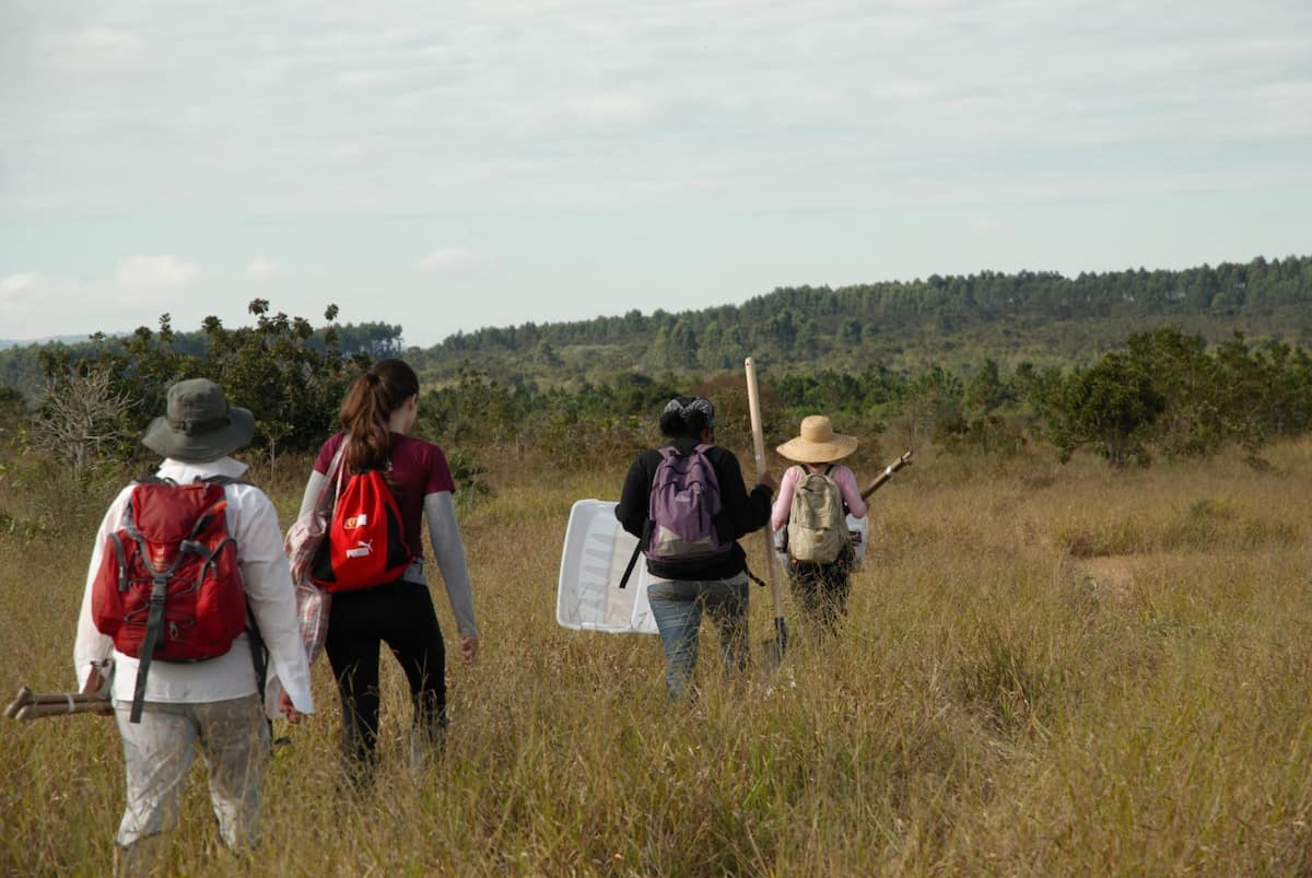researchers in field with forest in background