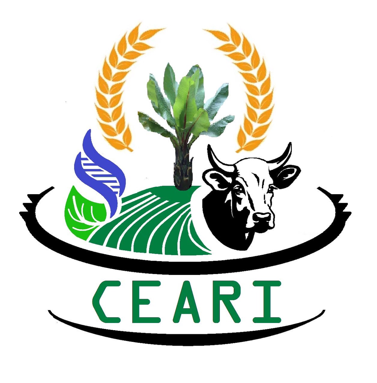 CEARI