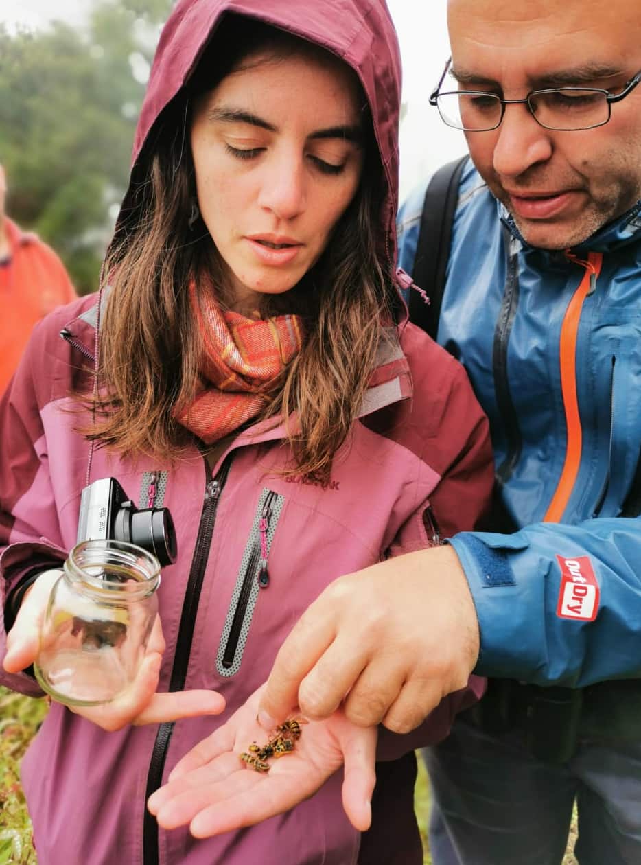 two expedition members looking at dead insects