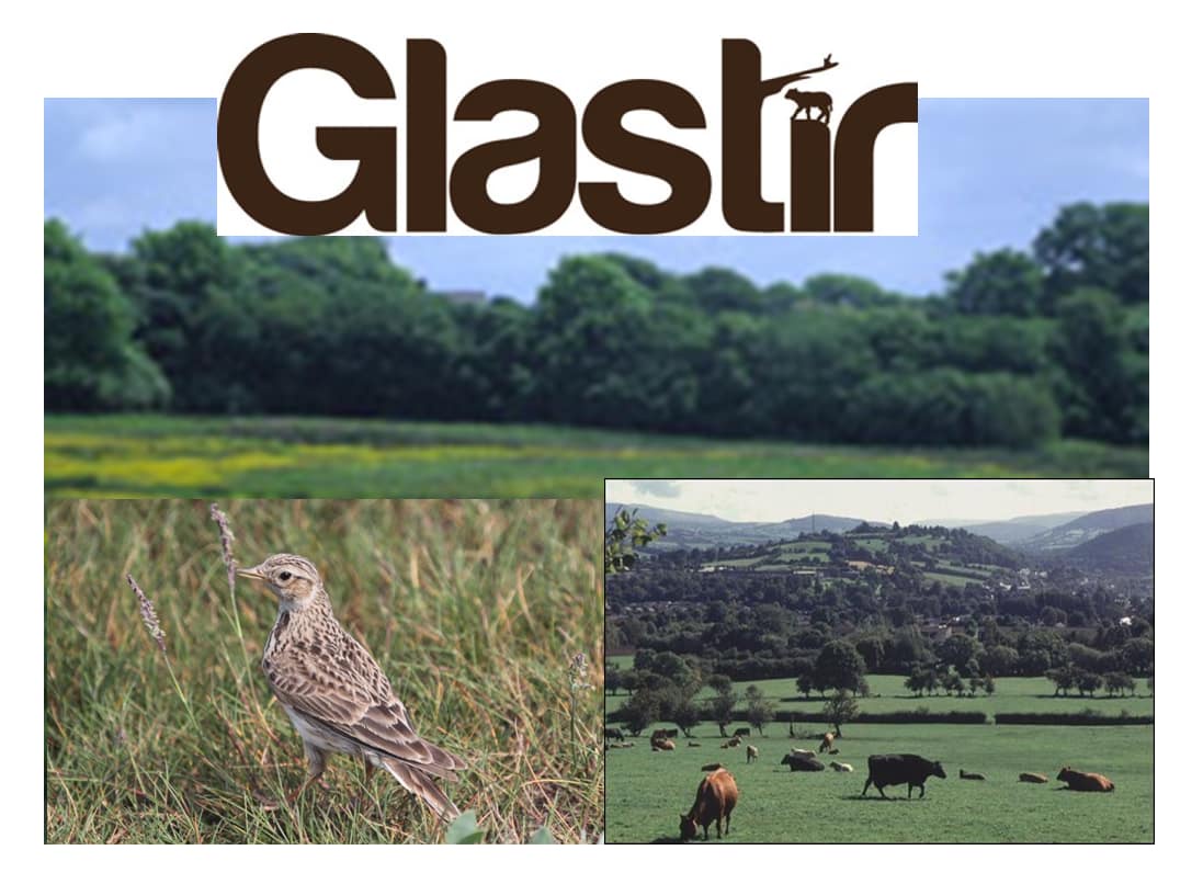 glastir