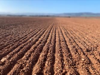 lower resolution variant for faster loading