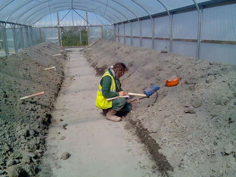 mud in huge greenhouse