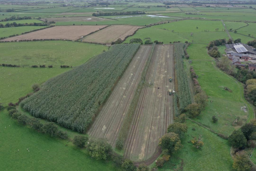 Aerial photo of SRC Willow being harvested in Lancashire