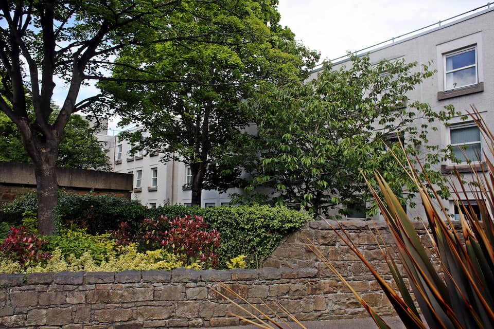 image of a building and trees