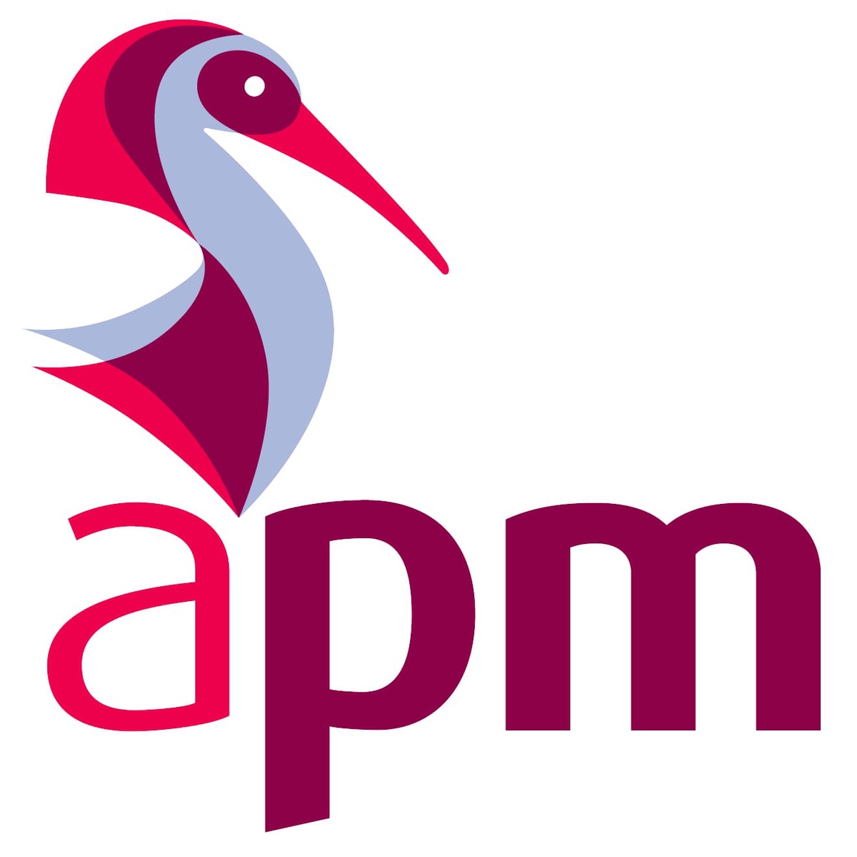 APM Logo