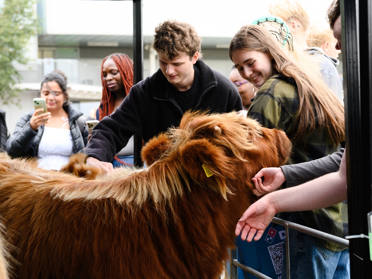 Students' Union fayre