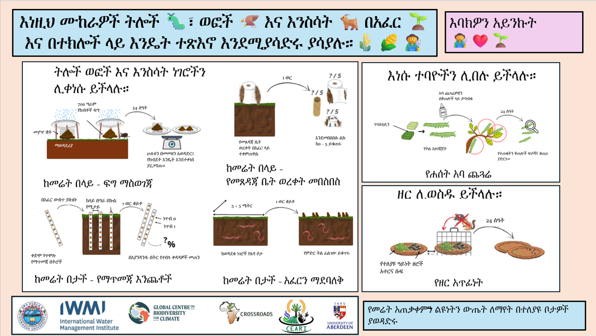 Poster_Amharic