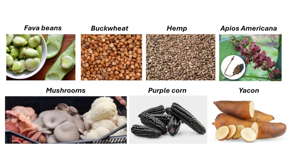 crops.jpg