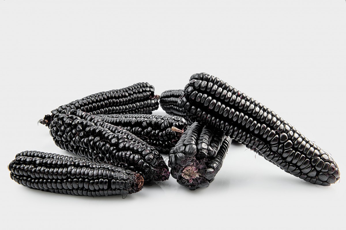 purple corn (white background) (4).jpg