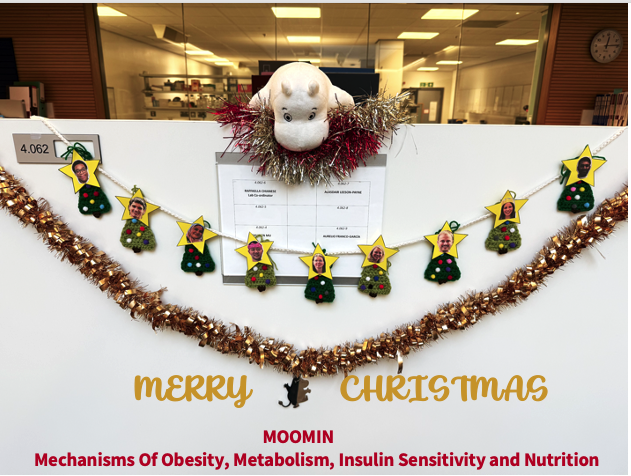 Screenshot 2025-12-12 at 12.34.38 pm.png