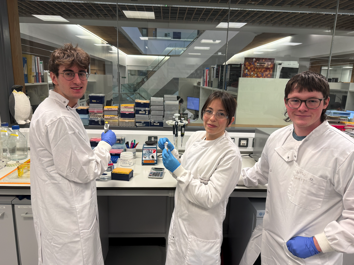 Screenshot 2026-01-22 at 11.46.41 am.png