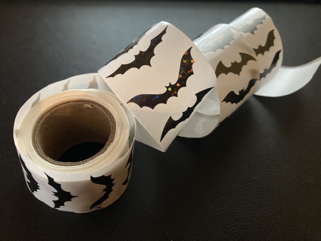 October School Holidays - Visit the Zoology Museum