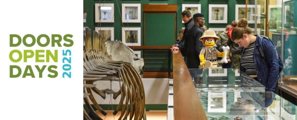 Doors Open Day 2025: Visit the Zoology Museum