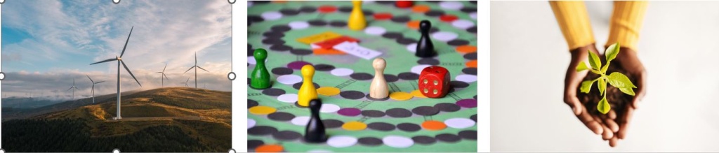 wind farm, games board, new shoots