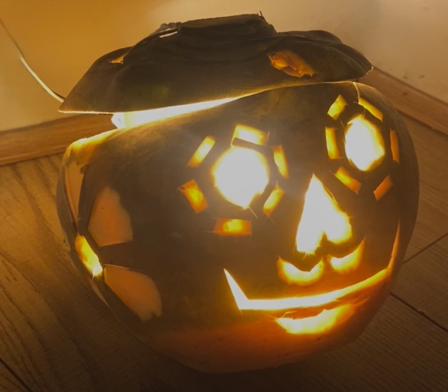 Neepie Lantern by Vibha Chauhan, Runner up