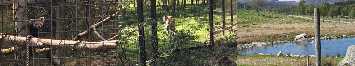 Watersports and Skiing