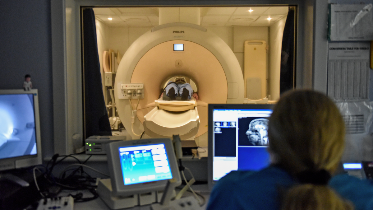 Medical Imaging Postgraduate Taught Subjects Study Here The