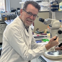 Professor Neil Vargesson