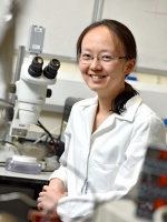Dr Yukie Tanino