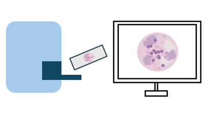 1. Tissue sample is scanned to make into a digital image