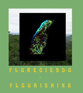 A collage of plant imagery on a green background with the text 'floreciendo - flourishing'