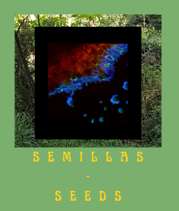 A collage of plant imagery on a green background with the text 'semillas - seeds'