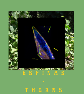 A collage of plant imagery on a green background with the text 'espinas - thorns'
