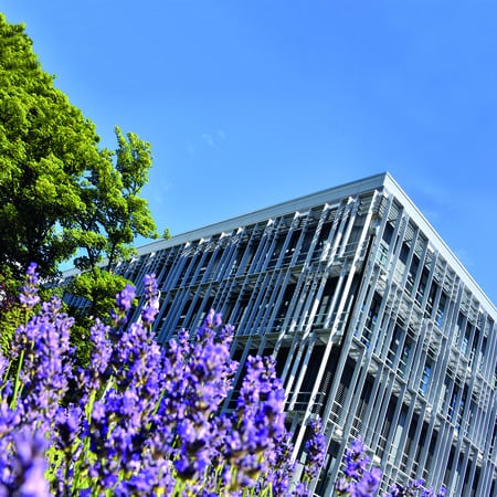 modern building with flowers