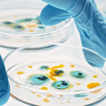 A blue gloved hand holding a petri dish with blue and yellow cells
