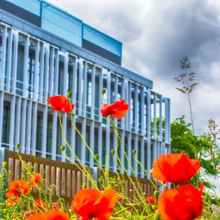 Exterior of the Rowett Institute building with red flowers