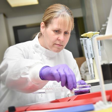 A woman working in the Rowett