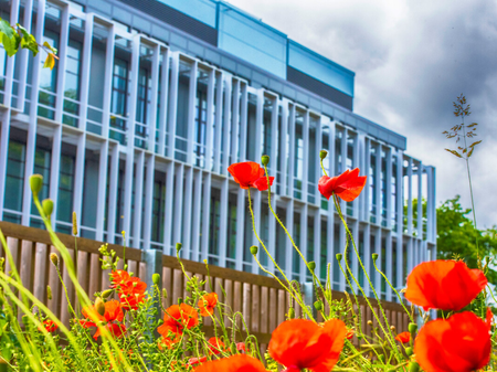 Foresterhill campus