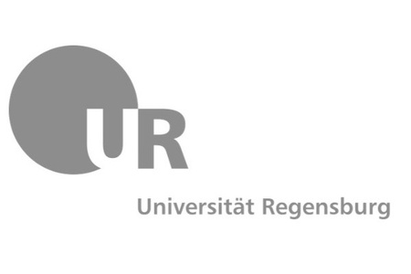 University of Regensburg Logo