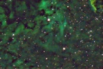 NGC7000 Cygnus Wall/North America Nebula