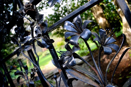 Iron gate in the Cruickshank Botanic Garden
