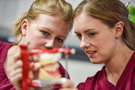 Student Satisfaction is top for Dentistry